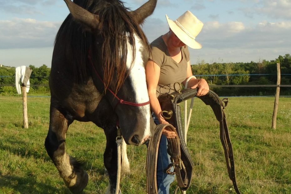Albane Galinou Comportementaliste équin Education du cheval A propos
