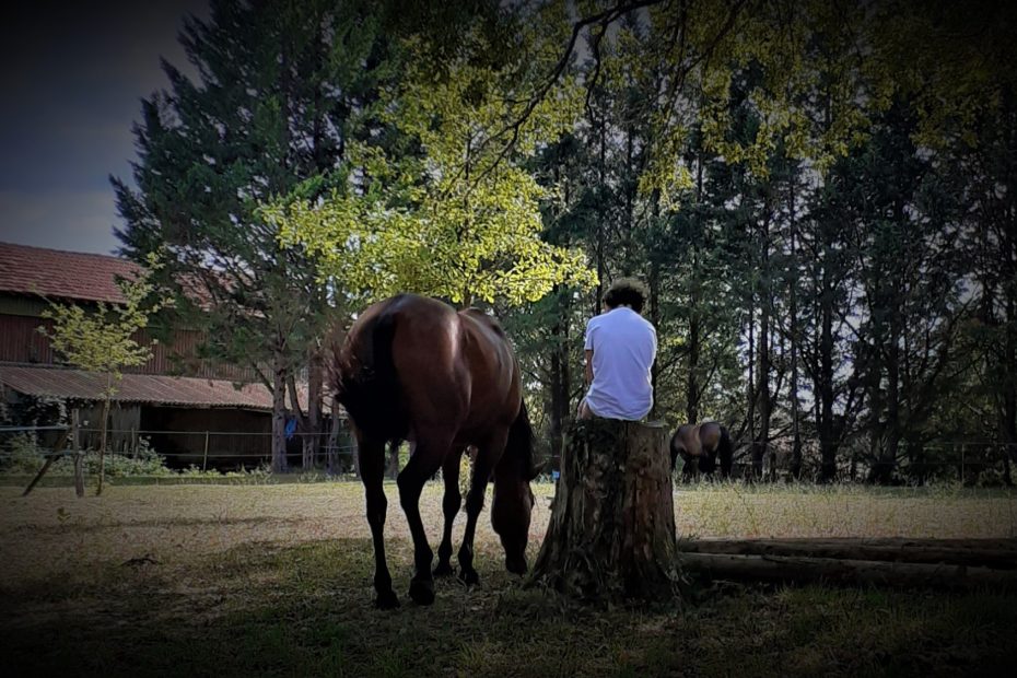 Albane Galinou Bervas comportementaliste équin psychanalyste