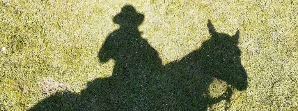 Albane Galinou Psychanalyste Comportementaliste équin La Voie du Cheval Blog