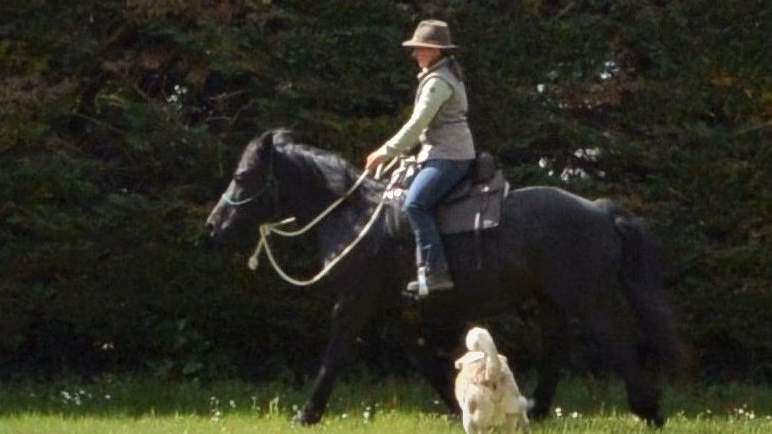 Albane Galinou Psychanalyste La Voie du Cheval