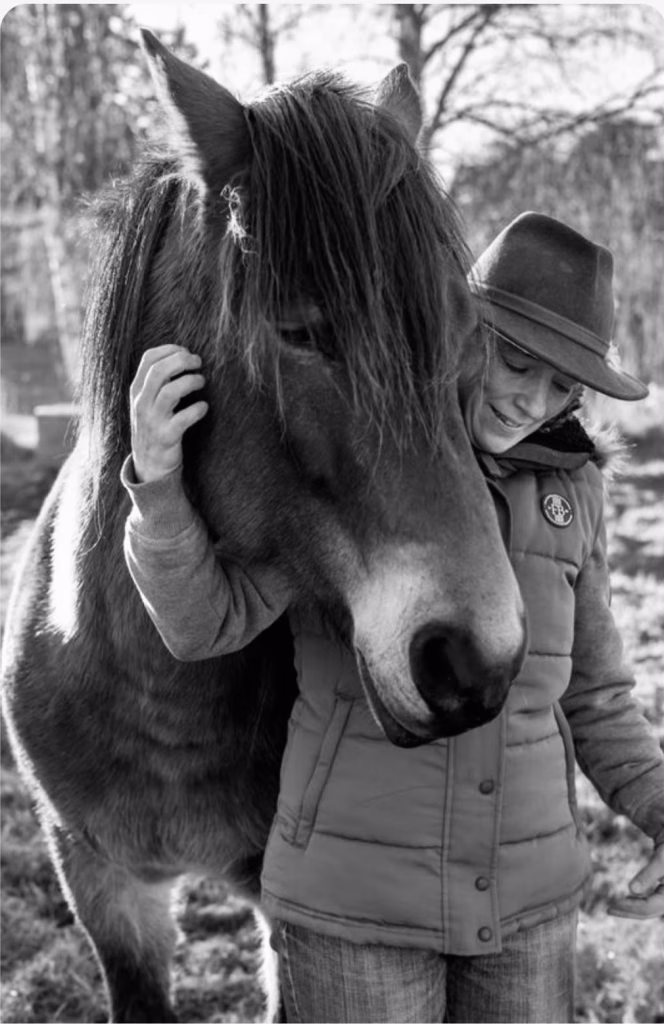 Equi-médit' d'hiver