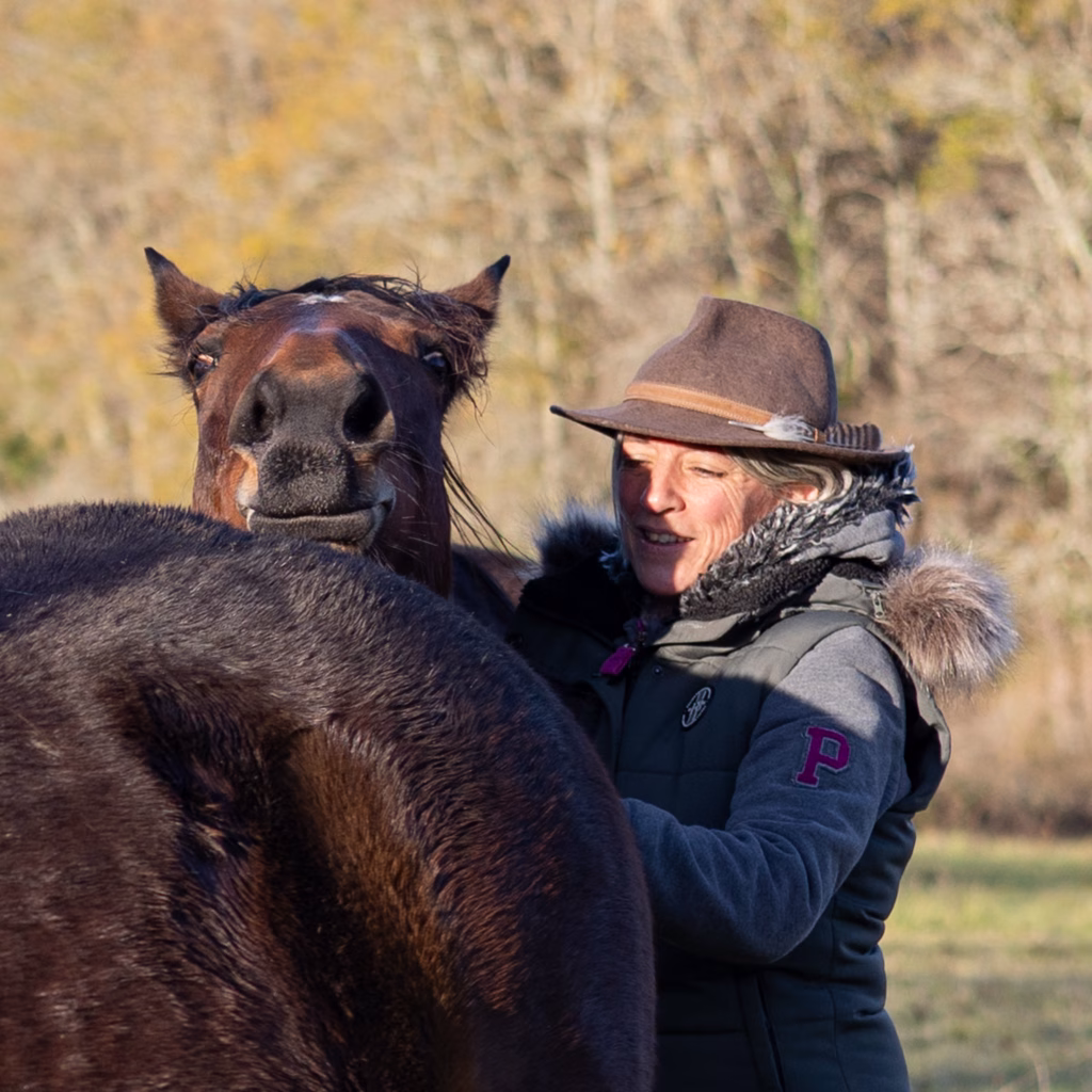 La Voie du Cheval - Tisser un lien