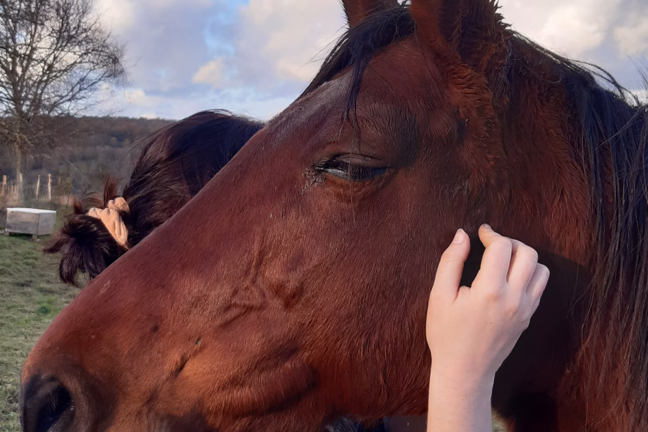 Albane Galinou Thérapeute accompagnée par les chevaux